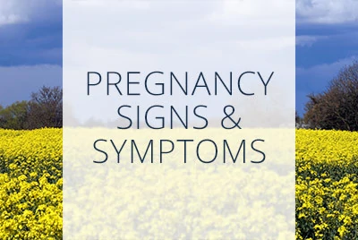 Obstetrics, Pregnancy Signs and Symptoms, Menopause Center Los Angeles