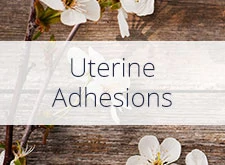 Uterine Adhesions and Scaring - Los Angeles OBGYN Thais Aliabadi MD